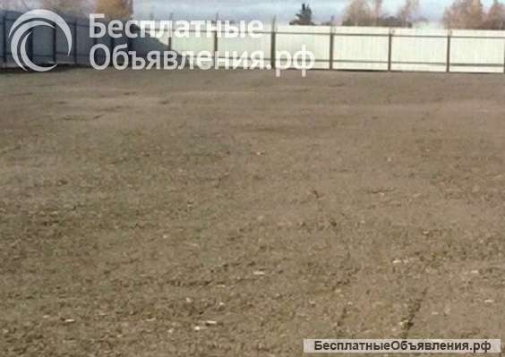 Аренда отрытой площадки