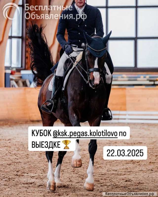 Повар универсал