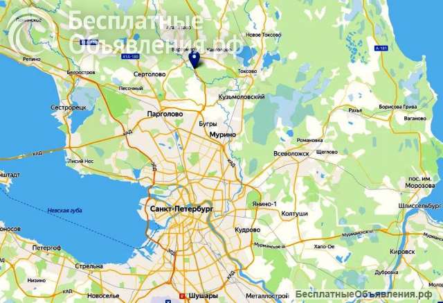 Земельный участок в районе д. Вартемяги 333 сотки