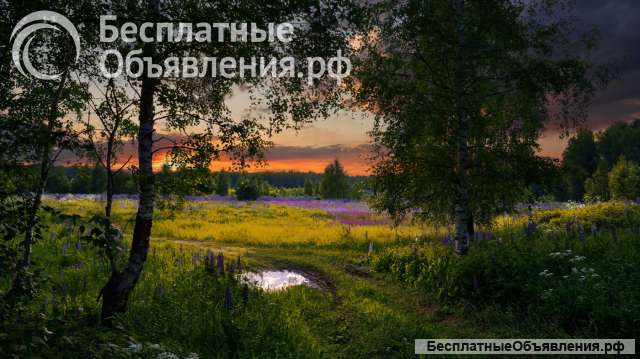 Полное юридическое сопровождение юридических лиц (Москва, Дмитров)