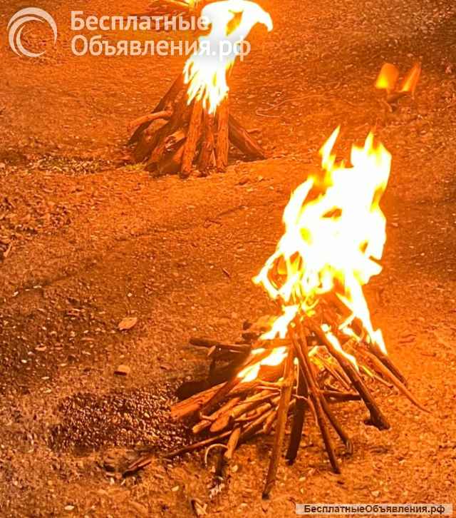 Предсказательница Амалия