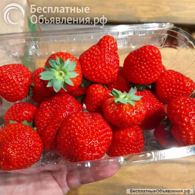 Клубника оптом по низким ценам