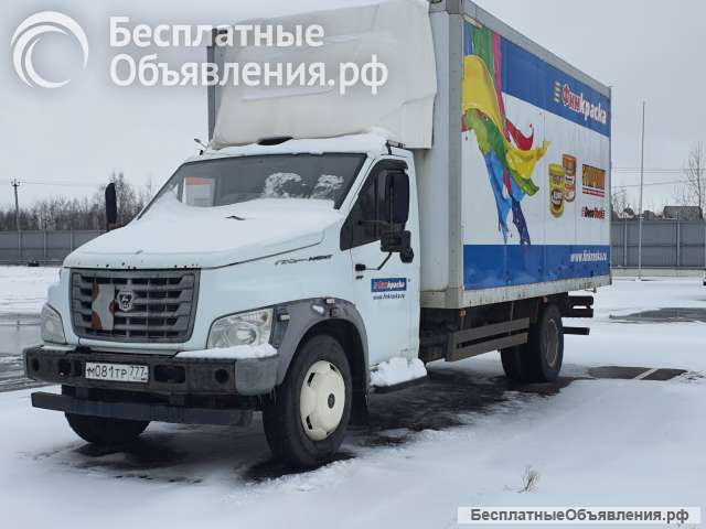 Газон Нэкст