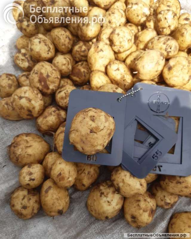 Картофель, капуста, свекла и морковь оптом в мешках и вентилируемой сетке