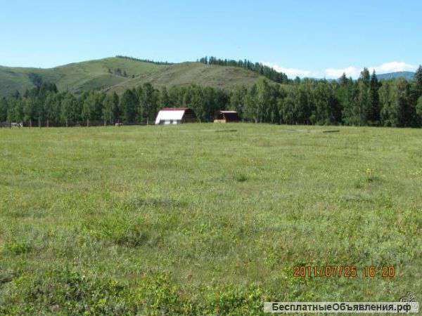 Участок в Горном Алтае