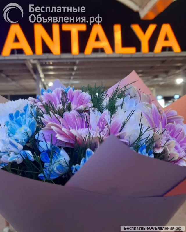 Vip Трансфер в Анталии Турция