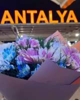 Vip Трансфер в Анталии Турция