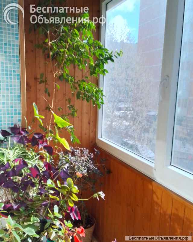 63 м2 комнаты на разные стороны санузел раздельный