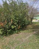 Дом Булгакова (Широкое)