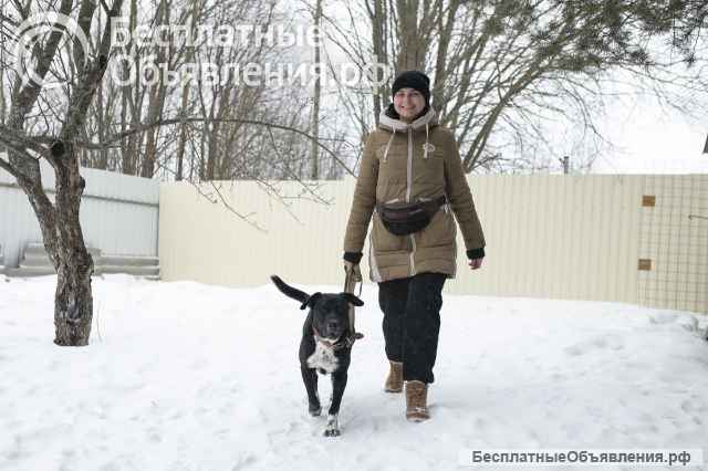 Метис Ляля в добрые руки