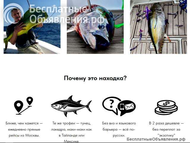 Предпочитаете поймать трофейного тунца?