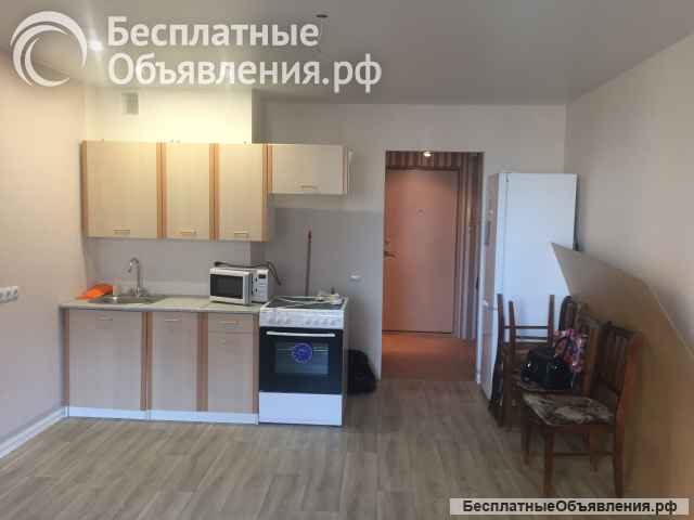 1к. кв.-студ.27.1-СПб, г.Мурино, ул.Новая, 17к2.х. с.-прямая продажа-докум. готовы