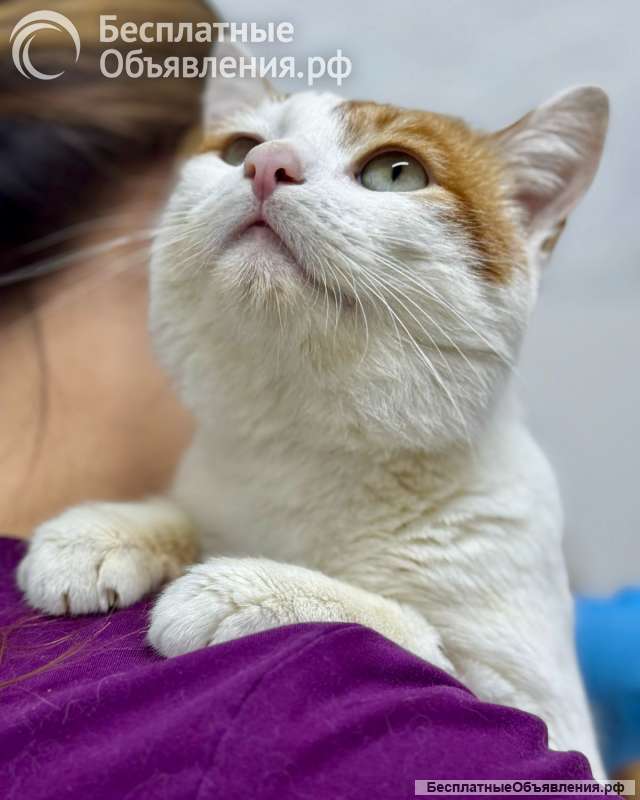 Дом Фили - клетка