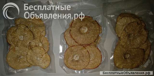 Купить Мухомор в Санкт-Петербурге в вакууме 50 г