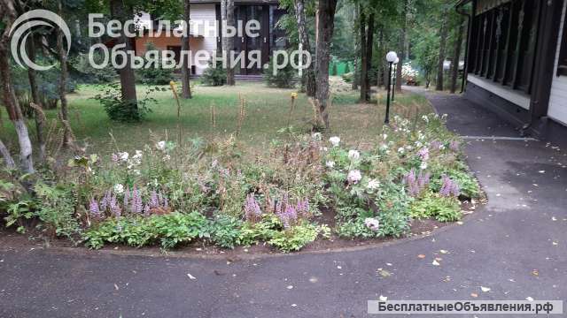 Сторож-разнорабочий на участок