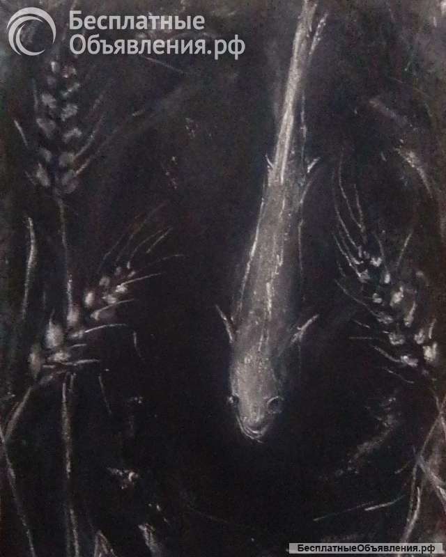 Рисунок "Рыба и Хлеб"