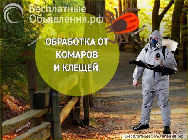 Акарицидная обработка участка от Клещей