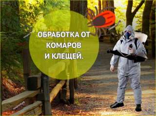 Акарицидная обработка участка от Клещей