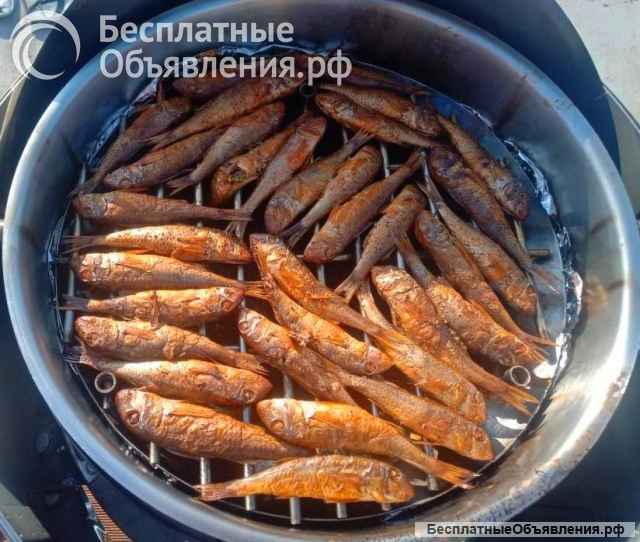 Морская рыбалка в Адлере