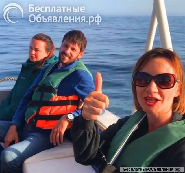 Морская прогулка к дельфинам на катере в Адлере