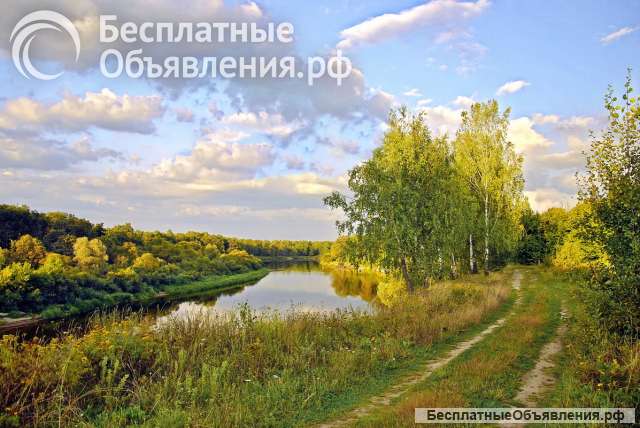 Механизатор (вахта Рязанская область)