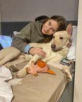 Замечательный семейный пес Арчибальд, метис лабрадора в добрые руки