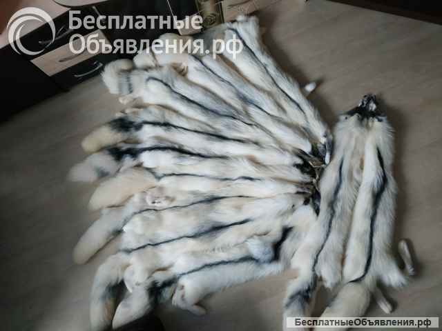 Мех шкуры мраморной лисы
