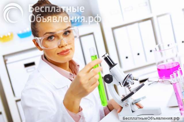 Химик