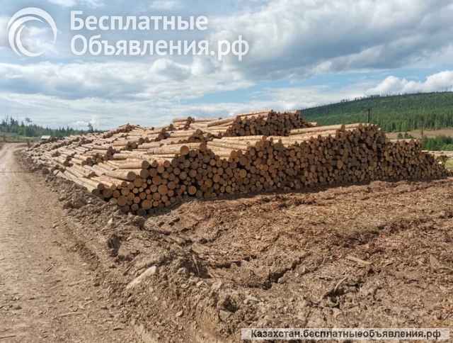 Вагонка, террасная доска, доска пола, имитация бруса, планкен. Доставка в Казахстан.