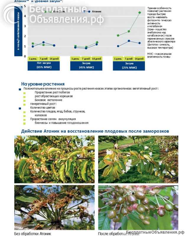 Атоник Плюс водорастворимый порошок 18 грамм
