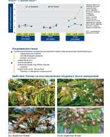 Атоник Плюс водорастворимый порошок 18 грамм
