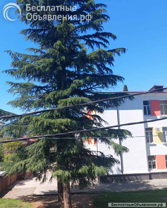 Квартира в Гагре у моря