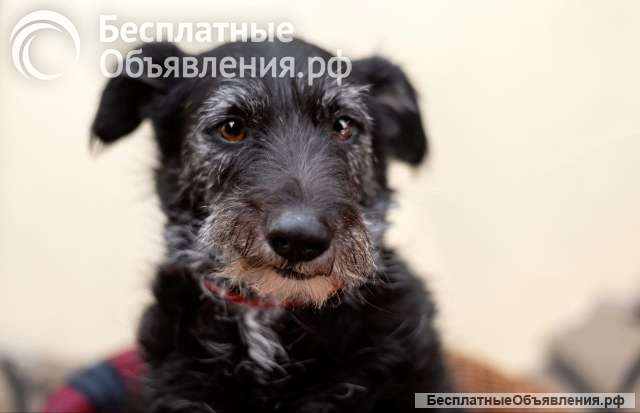 Лиза едет в загородный дом