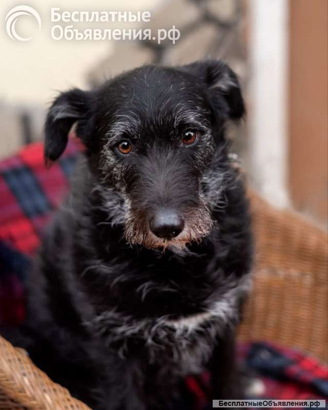Лиза едет в загородный дом