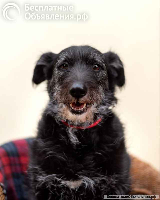 Лиза едет в загородный дом