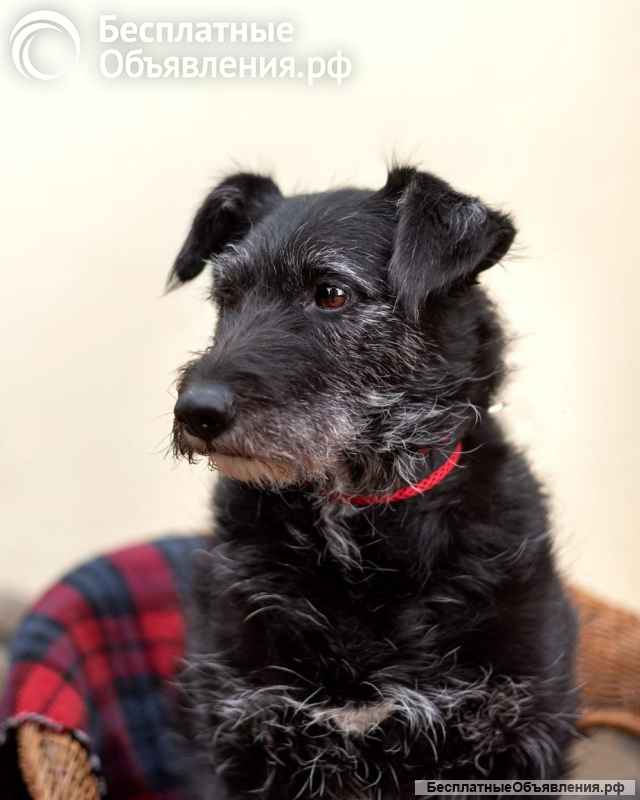 Лиза едет в загородный дом