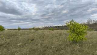 Земля 300 соток сельхозназначения Арофирма-Дубовое