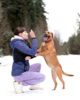 Тайна вселенной (метис питбуля). В дар