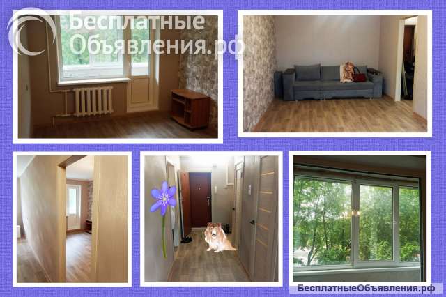 1к.кв-36м на 2/5эт, рядом парк, ж/д Варшавский в-л