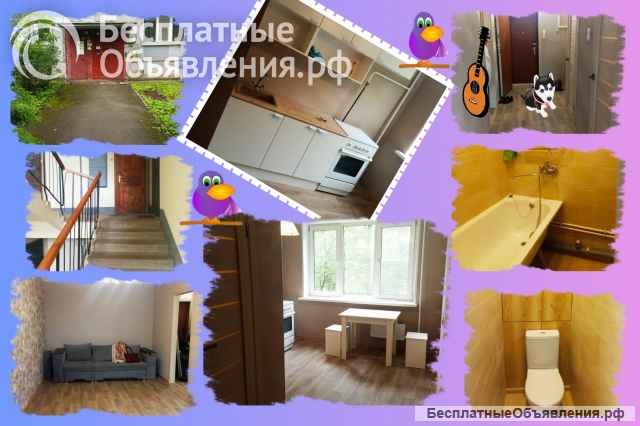 1к.кв-36м на 2/5эт, рядом парк, ж/д Варшавский в-л