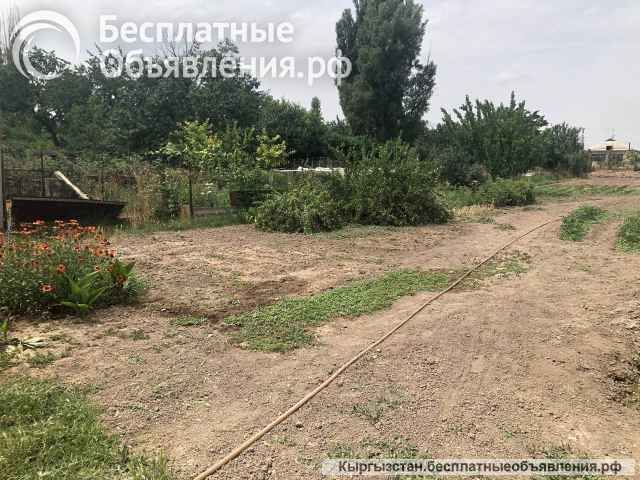 Дом в селе Ново-Покровка