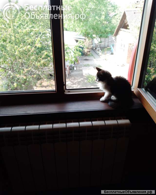 Поиск друзей для взаимопомощи