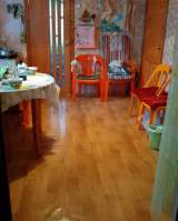 Дом - дача с участком 14 соток