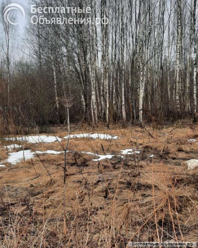 Дачу в ст Эхо, по отличной цене