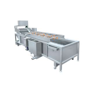 Линия переработки арахиса CTM-1000