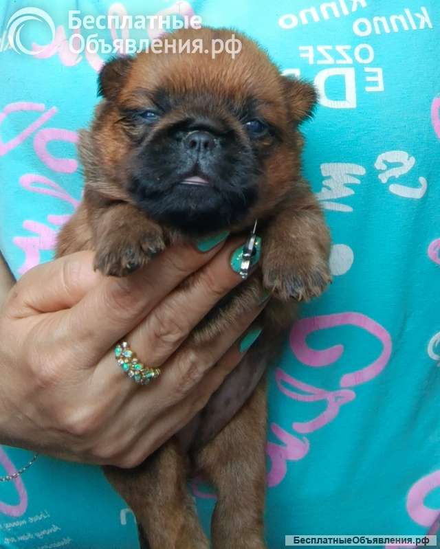 Девочка брабочка