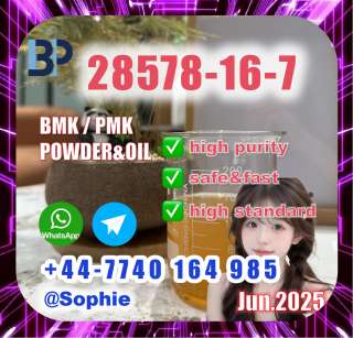 28578-16-7 BMK PMK Chemical raw materials