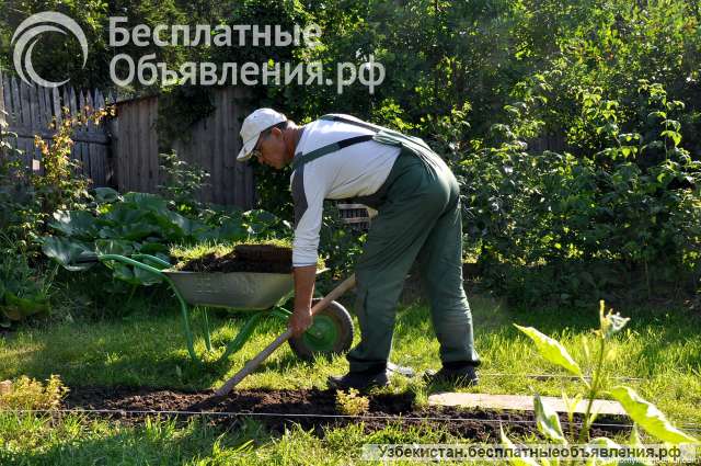 Требуется помощник по хозяйству в загородный дом
