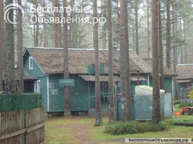 Дача 76,3 кв.м. в пос. Комарово