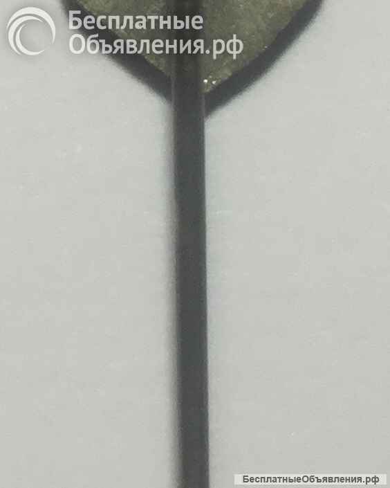 Футбол: SC COTTBUS - футбольный клуб